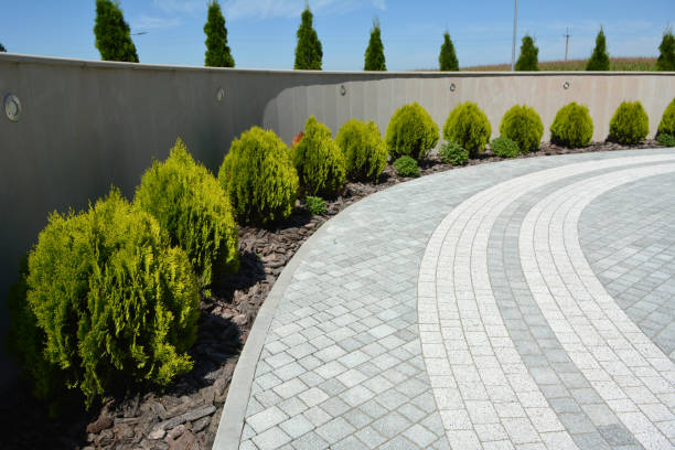 Best Driveway Paving Near Me  in Atasdero, CA
